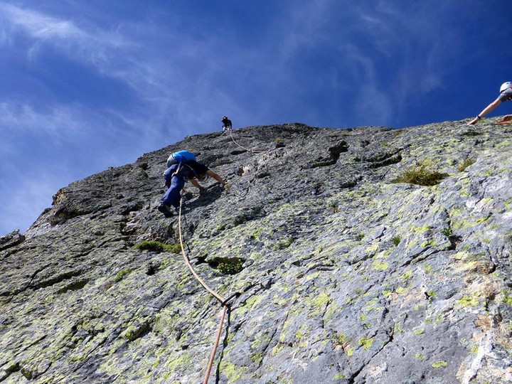 11261802_1003360313029503_227343127