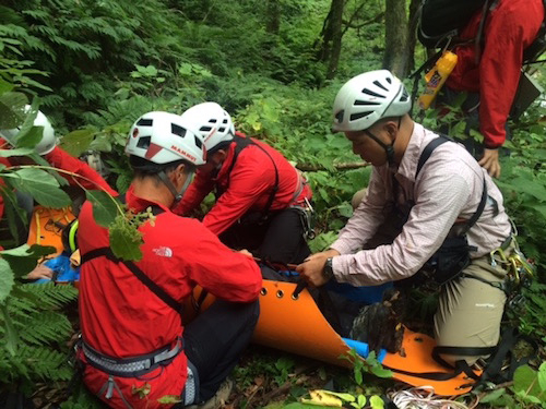 F02faa91681348c89e535c3ada9ca6aa