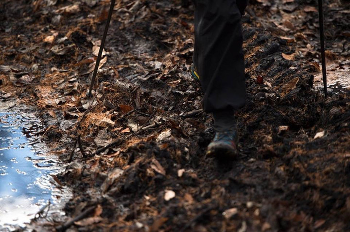 12219604_1070067243031346_3436127_2