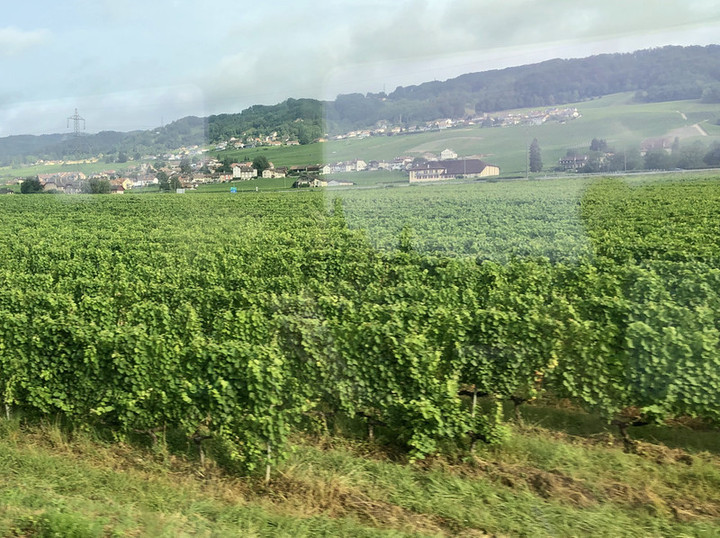 Eb35c9c7c30b468abd8fdf9911b4d59b