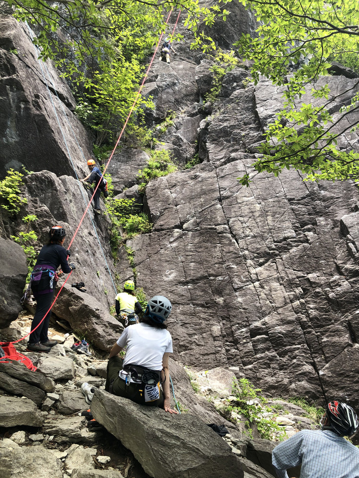 87a50a438f05489ca640af3db4e9aa39