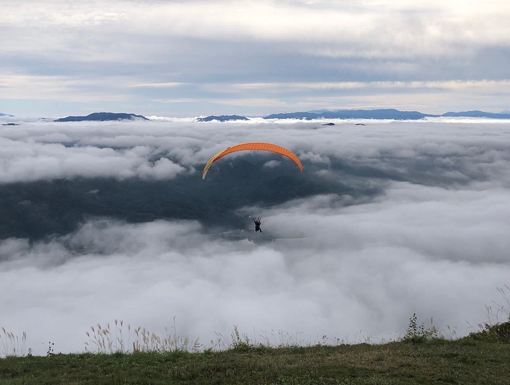 2b0c23aee66142ea8e7a6bc25747ced4