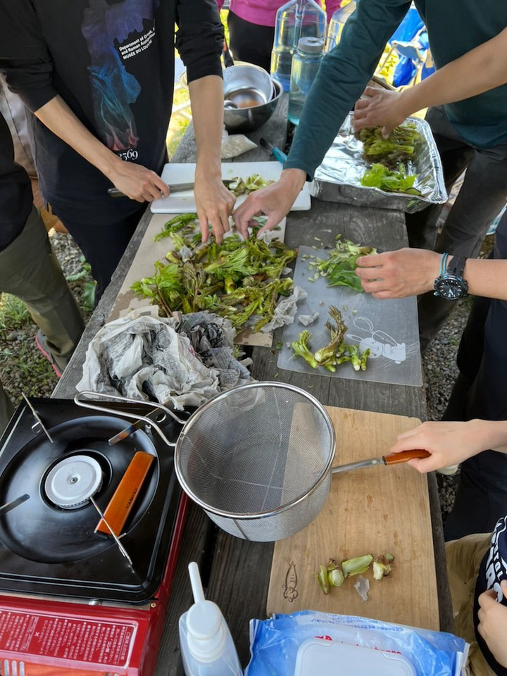 47464987753005910801d1b68b67c3da2b8