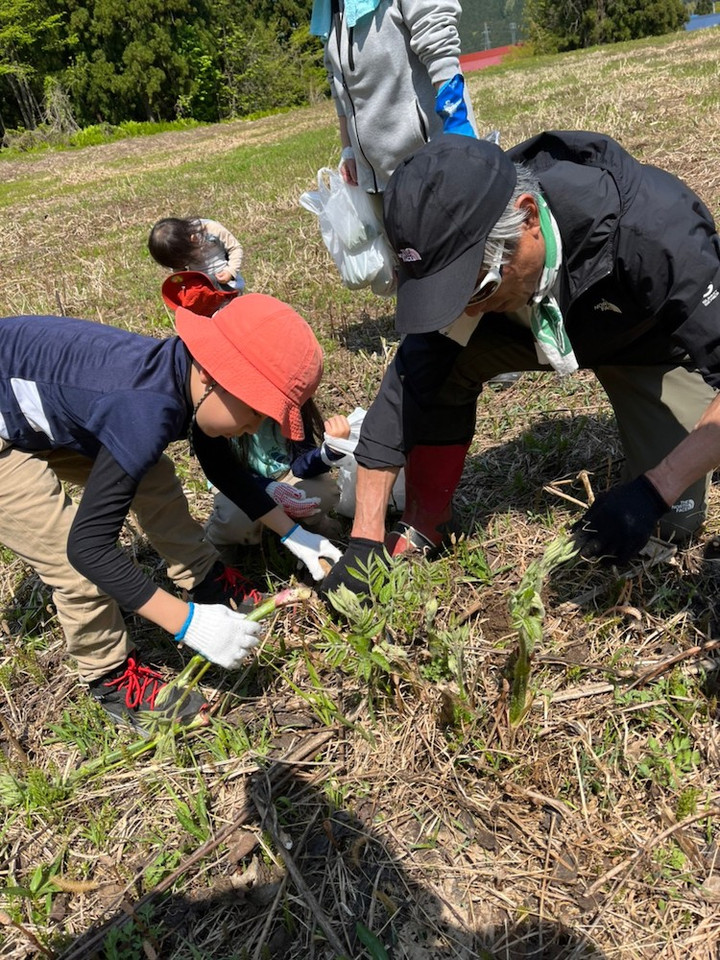 4746498775300591080646362f8f81c1d60