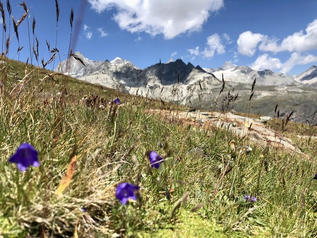 Fb8131f0120d41caa38087df0b7e17c5