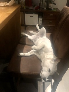 78f37ac92c474022aebd86bf9b09f208