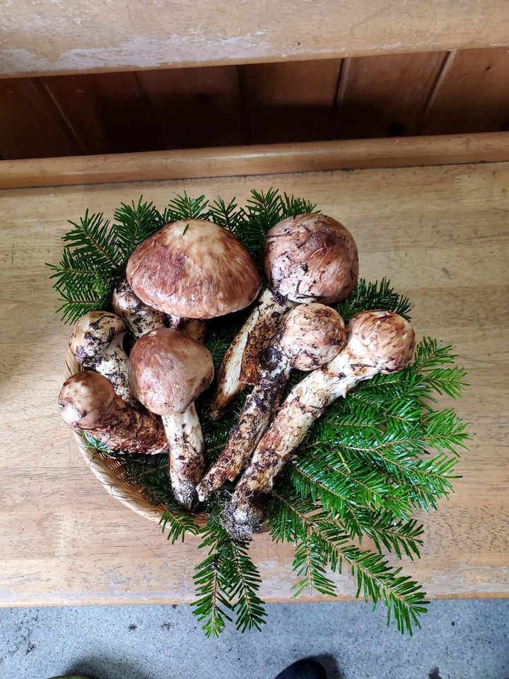 307458761_3255978968045465_10338722