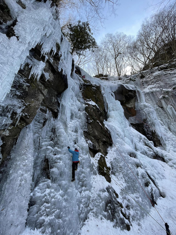 330904792_591095176230861_619977500