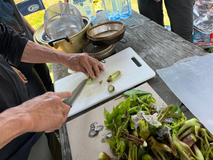 4746498775300591080369f30b751bba09