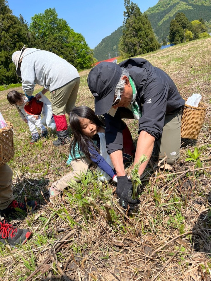 47464987753005910802d4f9e709bd1a11