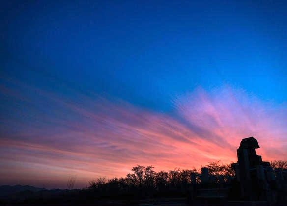 439664747_853776620125501_646708140