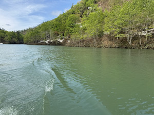 Img_3596_2