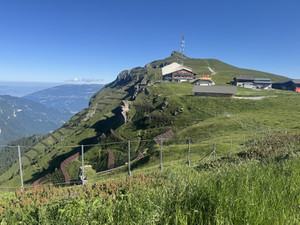 Img_3995